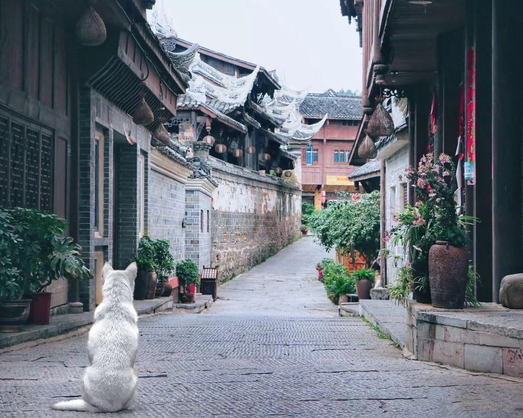 泡泡魔导师
